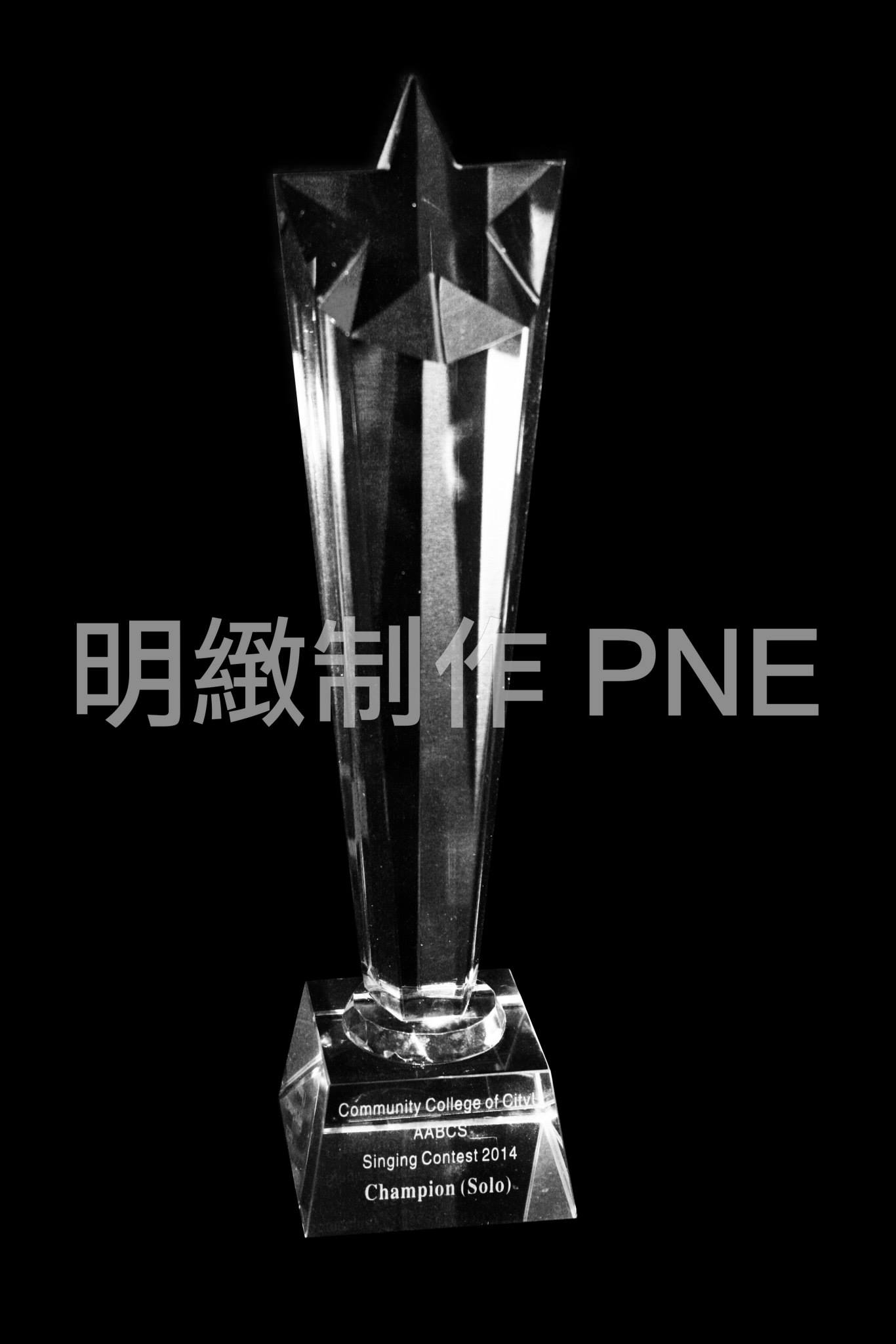 水晶獎盃 CR210(大) 實物圖樣
