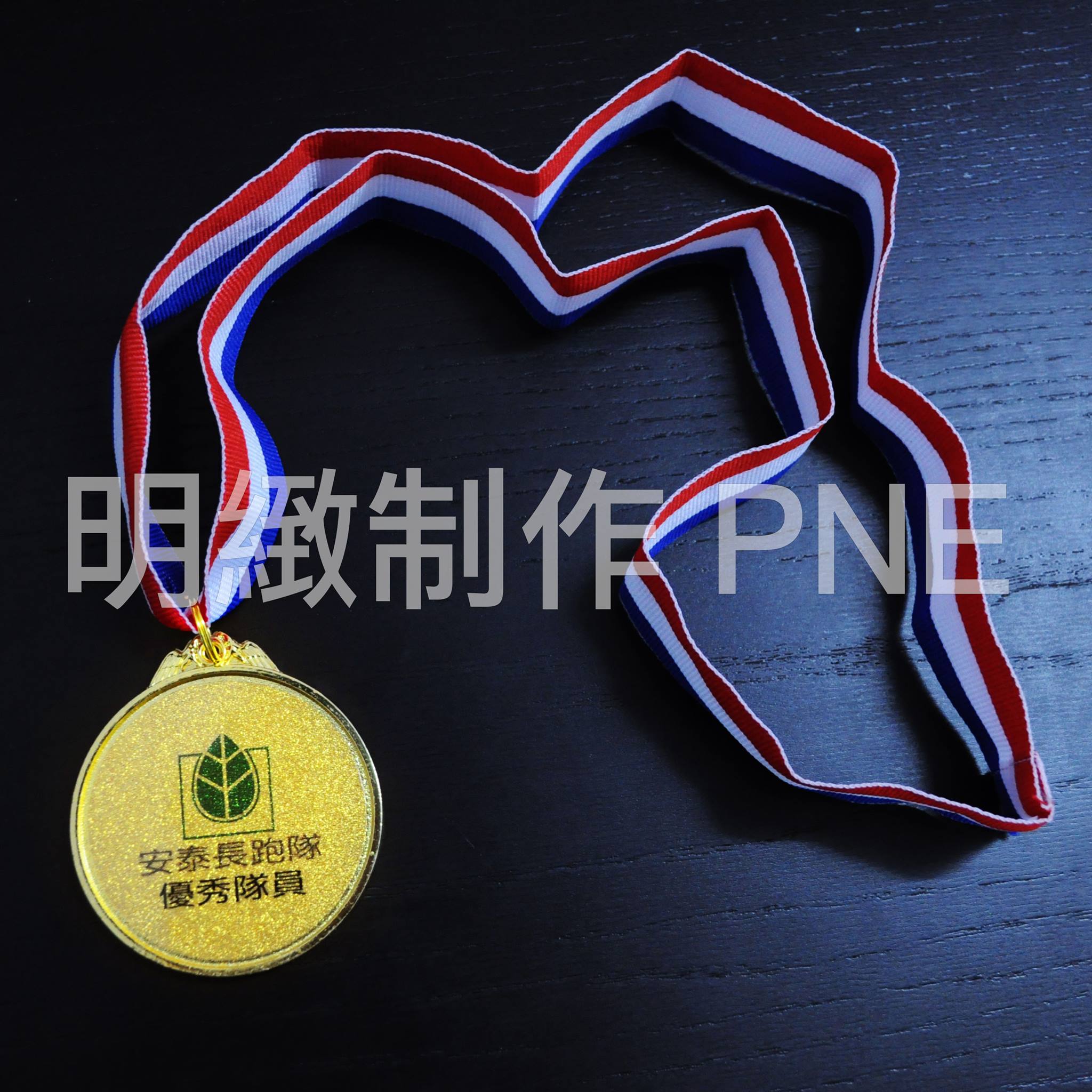 獎牌 ME051 實物圖樣 (金色)